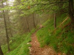 2013-06-22_Hirschhoerndl_Jochberg (175).JPG
